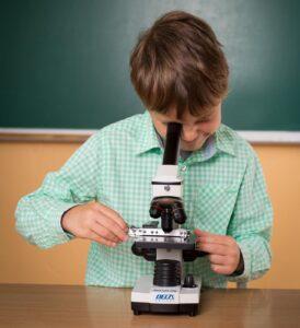 Support for young researchers