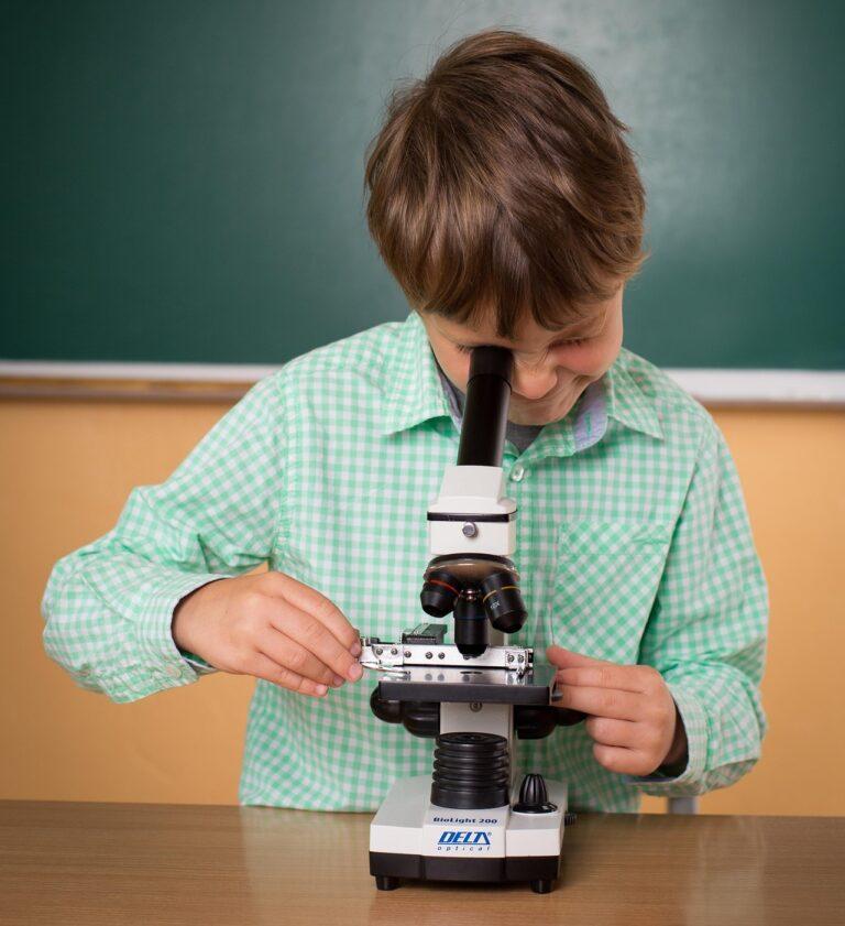 Support for young researchers